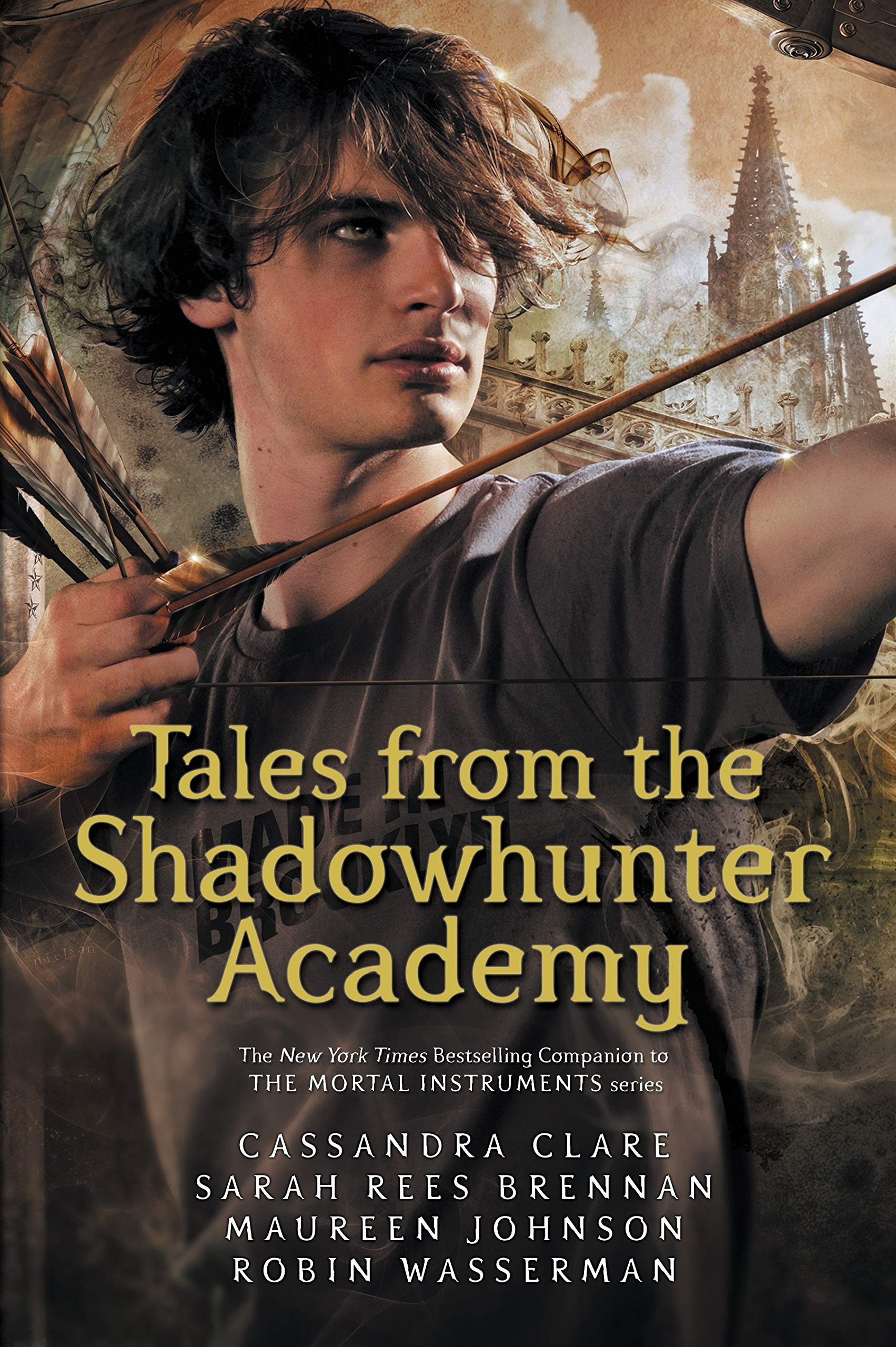 Tales from the Shadowhunter Academy Paperback – 25 May 2017