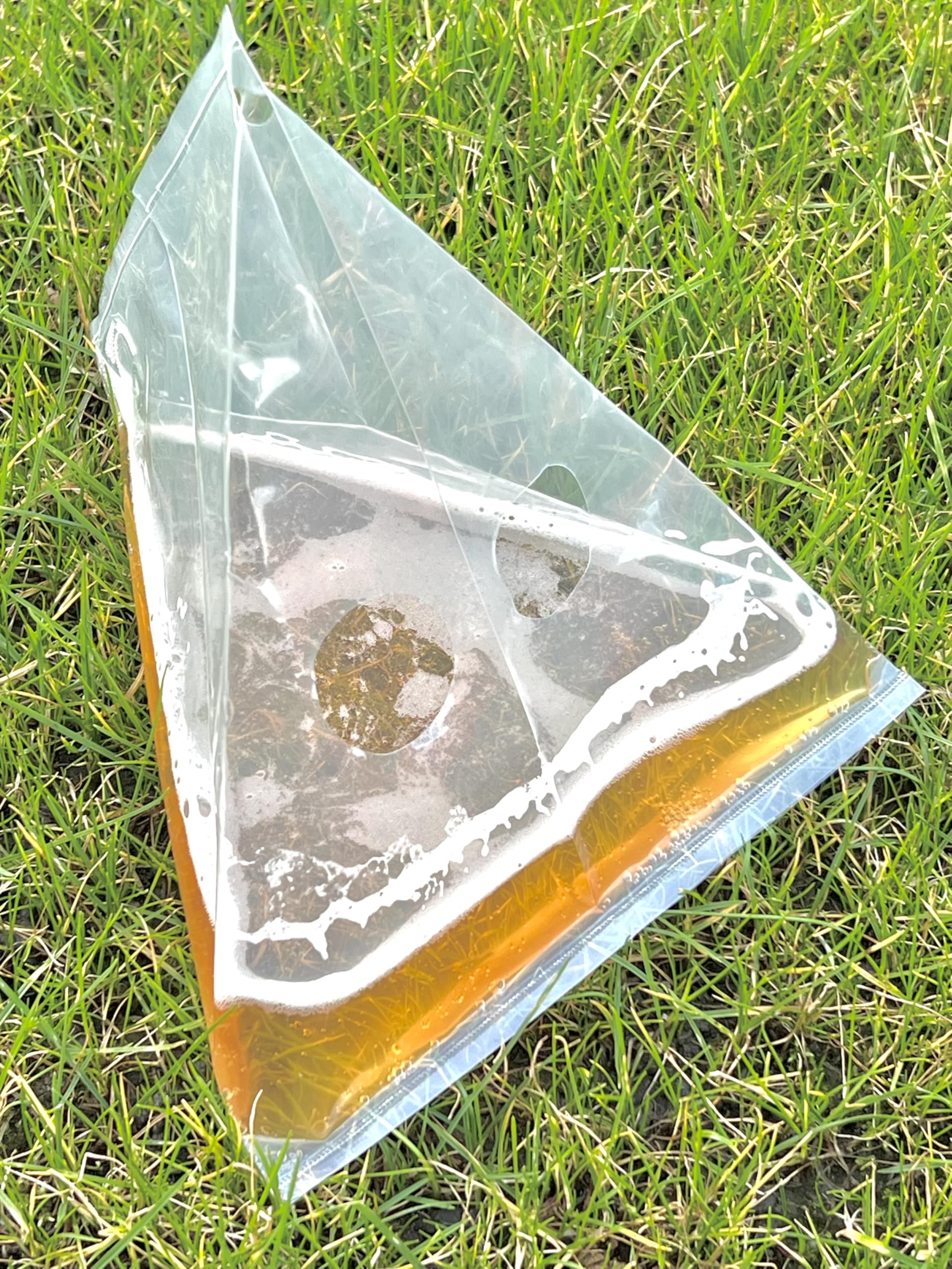 EWS PRODUCTS 25 Pcs Slug Traps, Hygienic, Reusable, No Poison, Plastic, For Indoor And Outdoor Use, Safe Around Animals