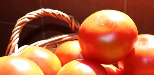 Cocina Tradicional (Recipes)