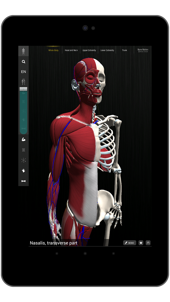 Teamlab Human Form teamLabBody-Amazonアプリストアのアプリ