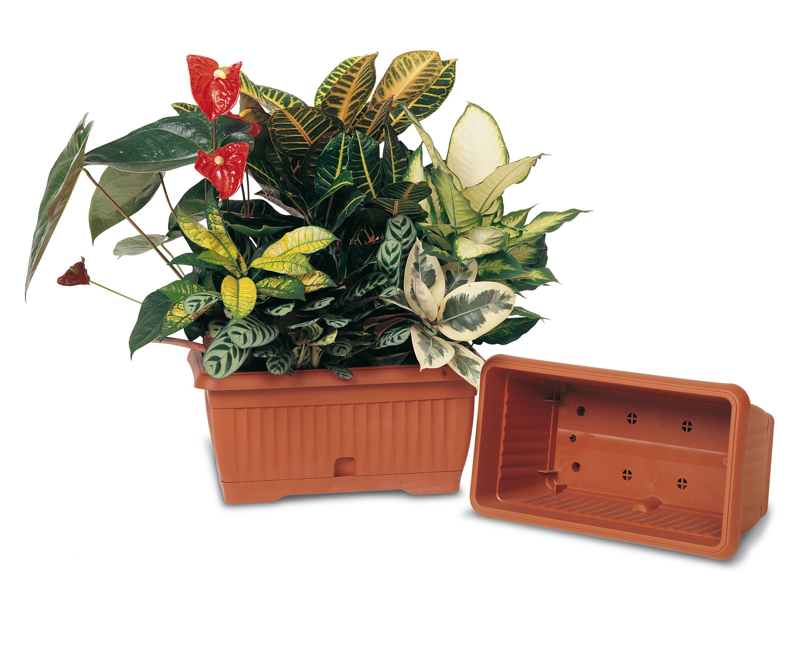 Fioriere Giglio Maxibalconetta Col.Terra con Riserva 55x25x21H - 4