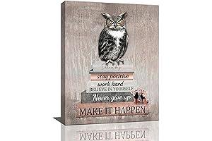Inspirational Owl Canvas Prints