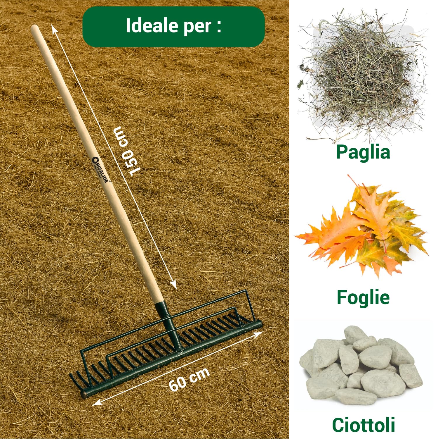 CRISALIDE® Rastrello per Fieno 32 Denti – Manico in Legno di Faggio 150 cm – Con Vite di Fissaggio Inclusa – Attrezzo da Giardinaggio e Agricoltura Professionale