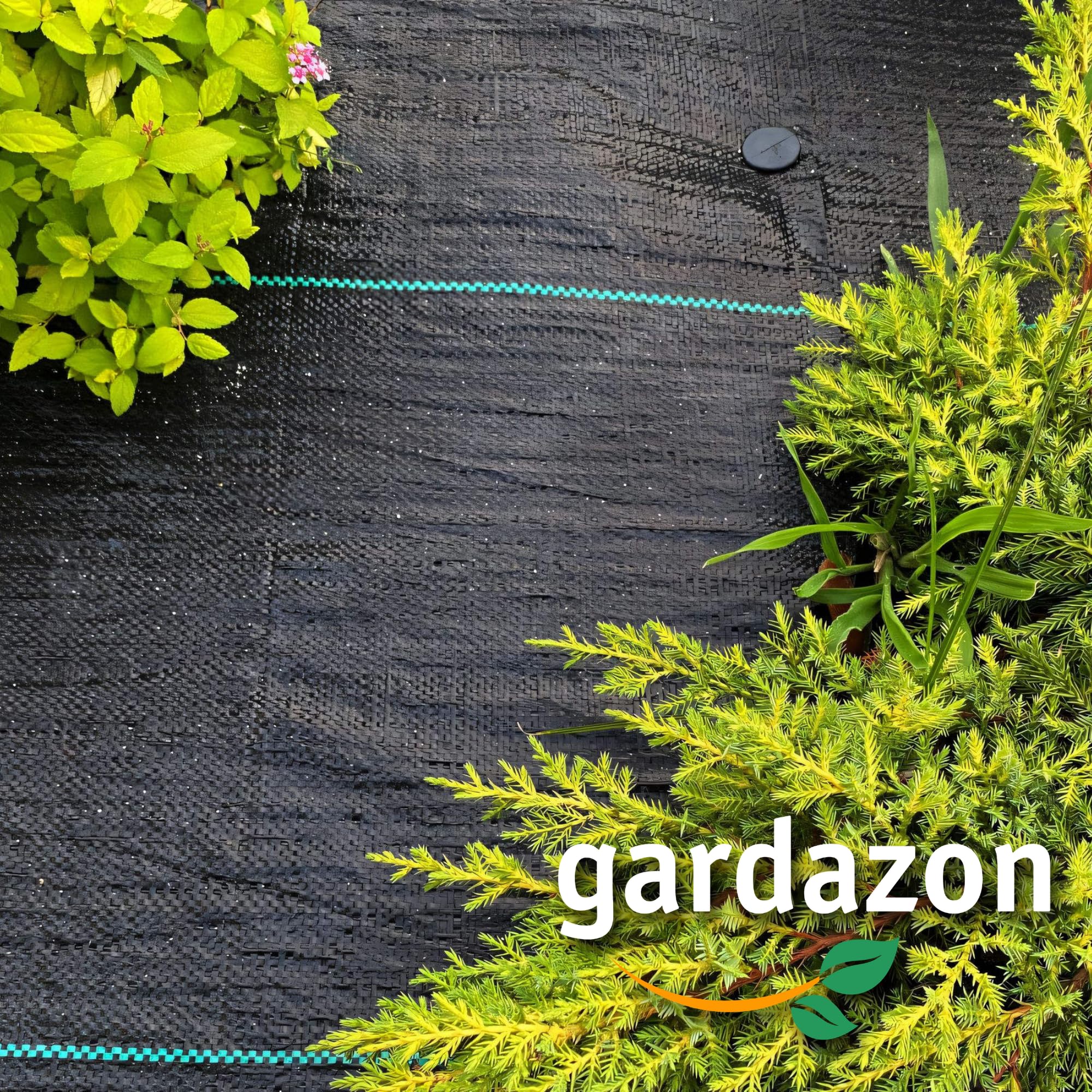 UV-beständige Ukrautvlies - 70g/m², Robustes & dauerhaftes Gartenvlies gegen Unkraut (1,1 x 100m, Unkrautvlies)