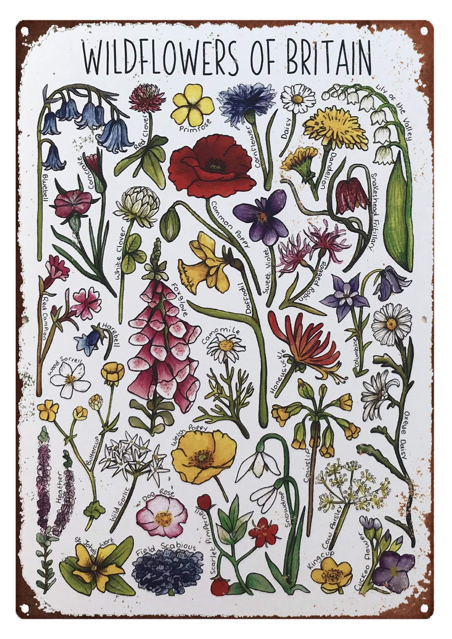 Yivxa Tin-962 Tin Signs Vintage Wildflowers Of Britain Greeting Card, Flowers Metal Sign, Floral Card, Nature Print, Nursery, Wildlife Print, Forest Illustration Metal Signs For Outside Home Decor