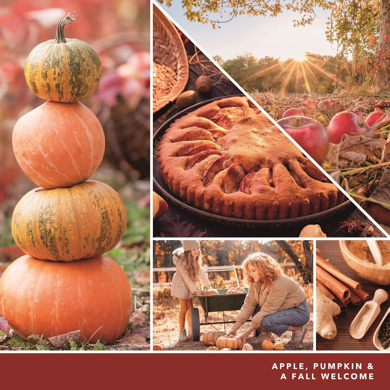 Yankee Candle ScentPlug Refill for Plug in Air Fresheners, Scented Oil Refills, Long Lasting Home Fragrance, Apple Pumpkin (Pack of 4)
