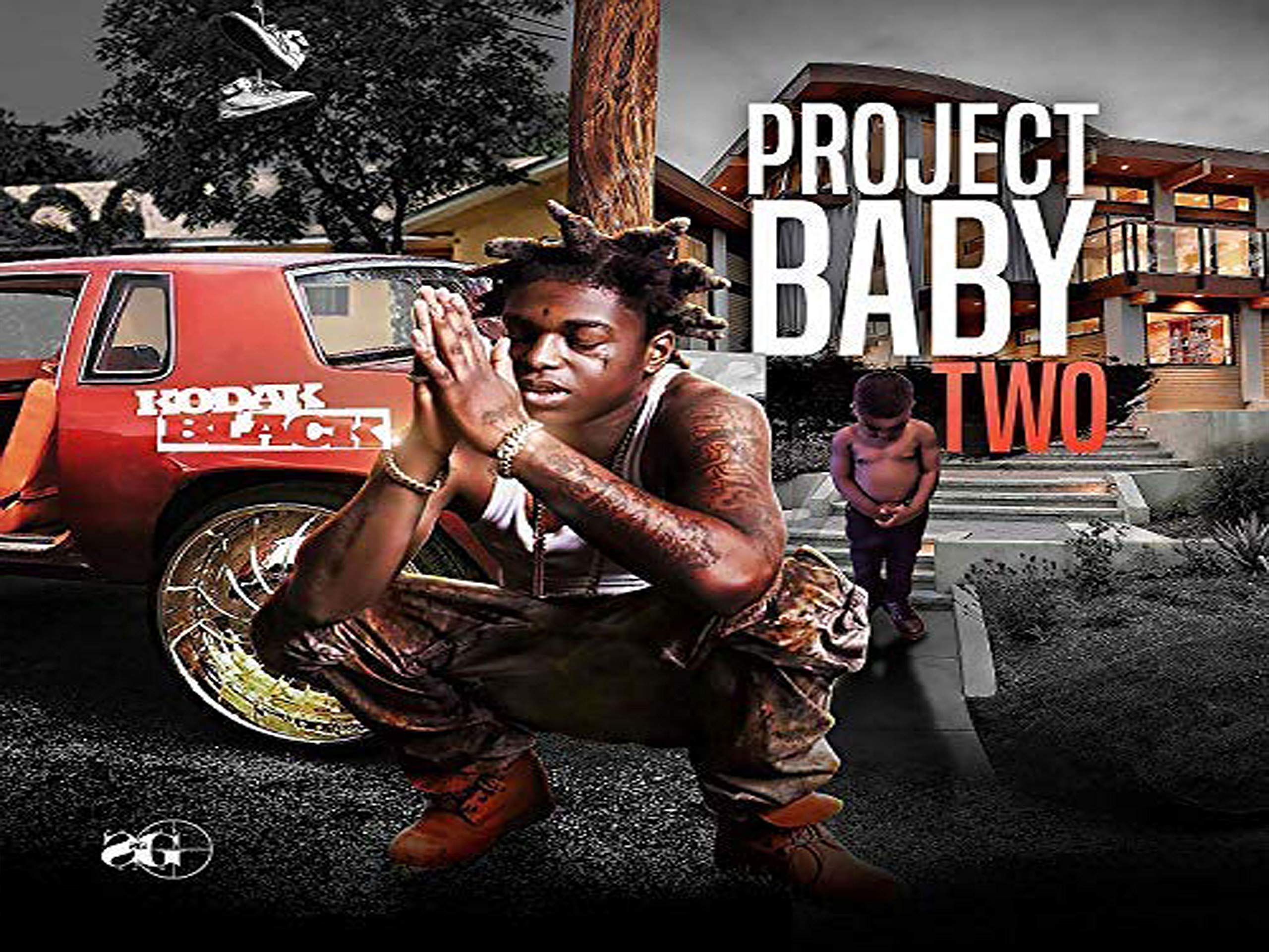 Speaking Thought Poster Kodak Black - Project Baby 2 All Grown Album Cover Poster Size 12x16 inch…