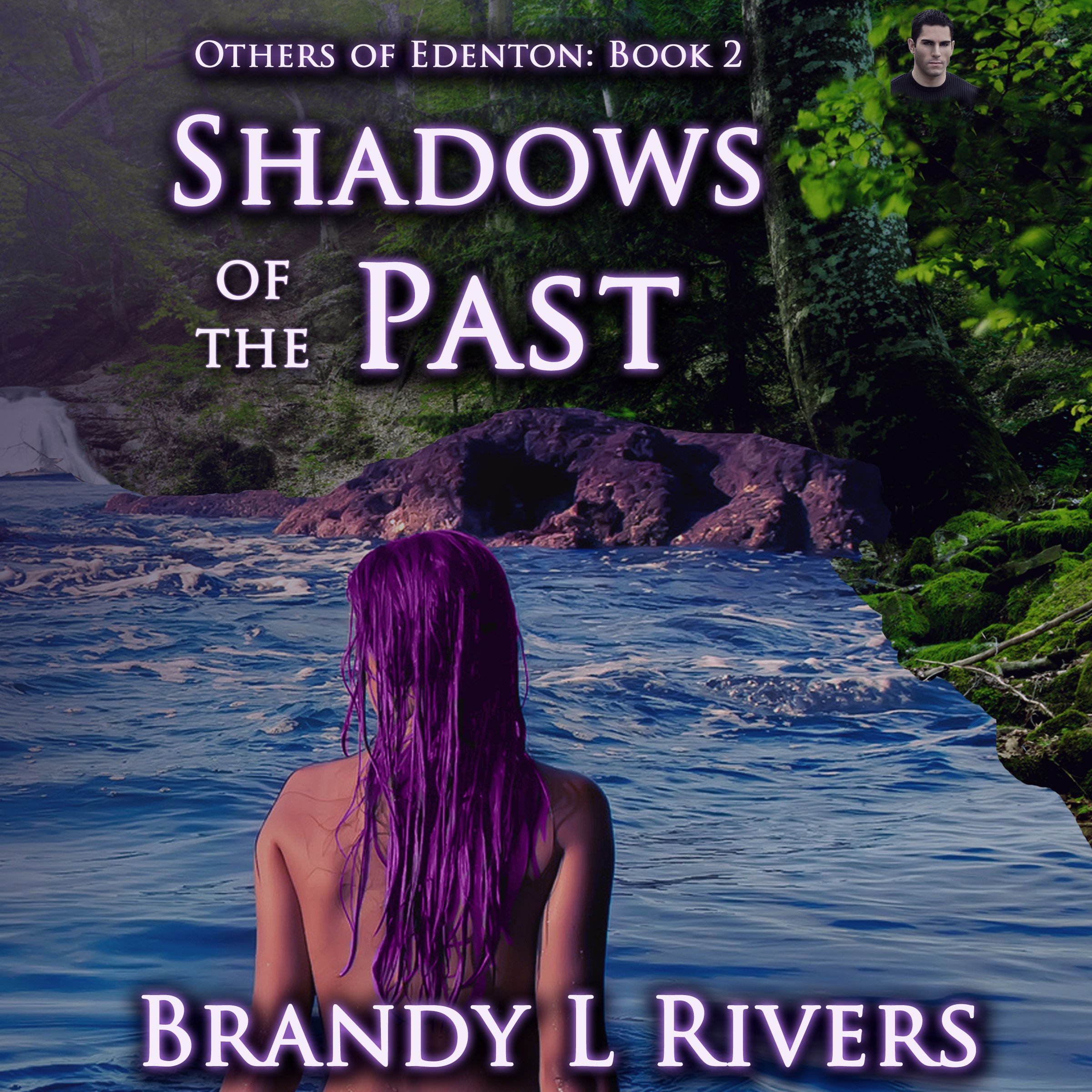 Cover art for Shadows of the Past