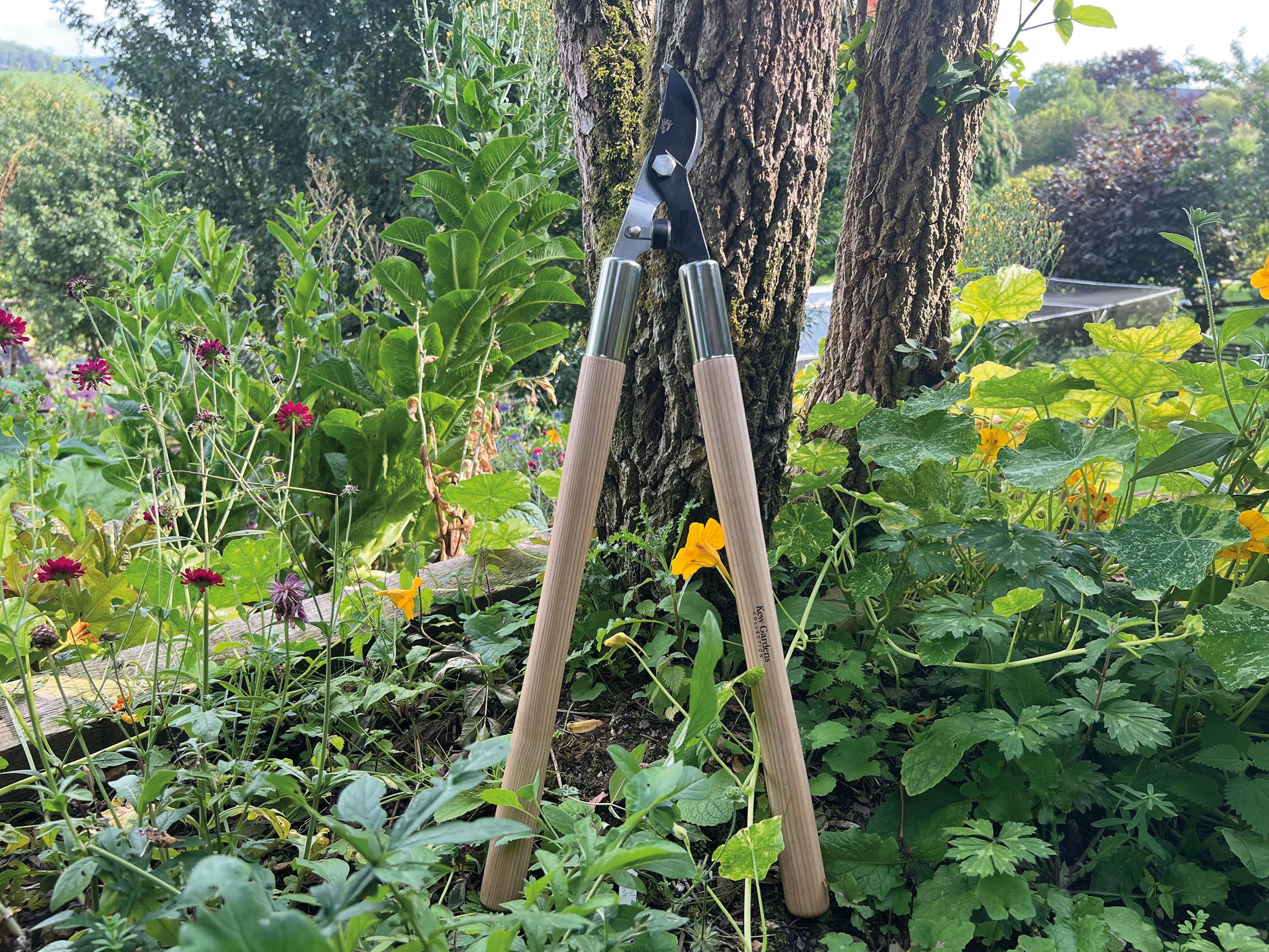 Spear & Jackson 5771KEW Kew Gardens Woodland Collection Garden Bypass Loppers - Image 4