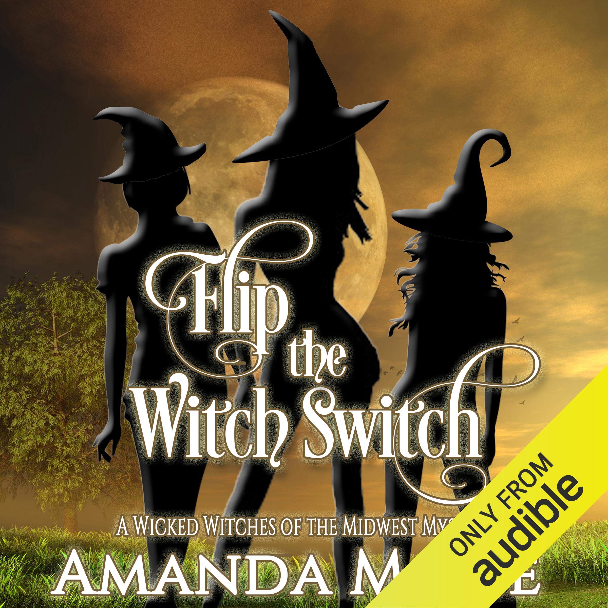 Cover art for Flip the Witch Switch