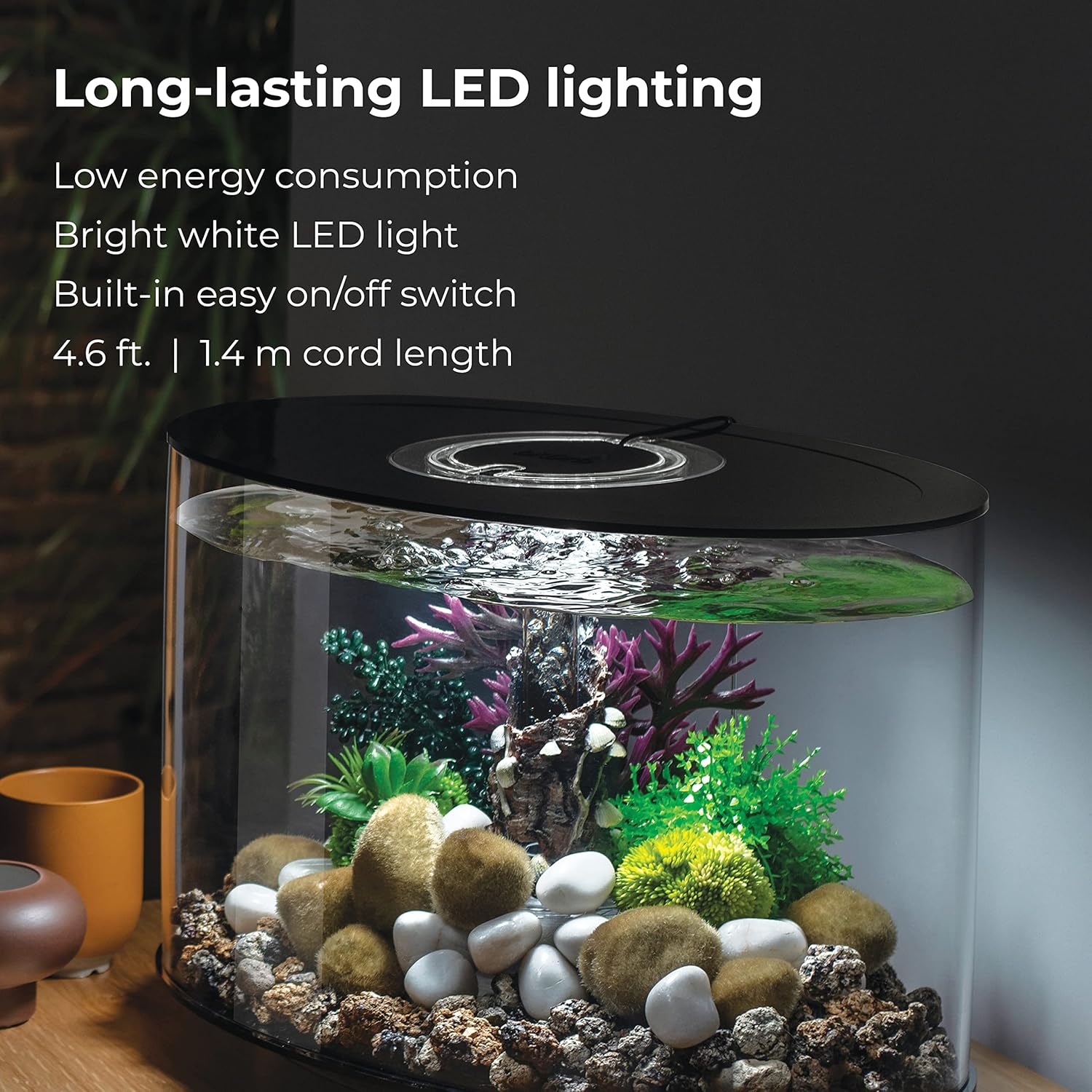 biOrb Loop 15 Acrylic 4-Gallon Aquarium with White LED Lights Modern Compact Tank for Tabletop or Desktop Display, Black-Trimmed Tank