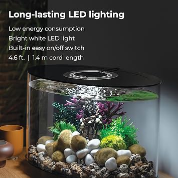 biOrb Loop 15 Acrylic 4-Gallon Aquarium with White LED Lights Modern Compact Tank for Tabletop or Desktop Display, Black-Trimmed Tank