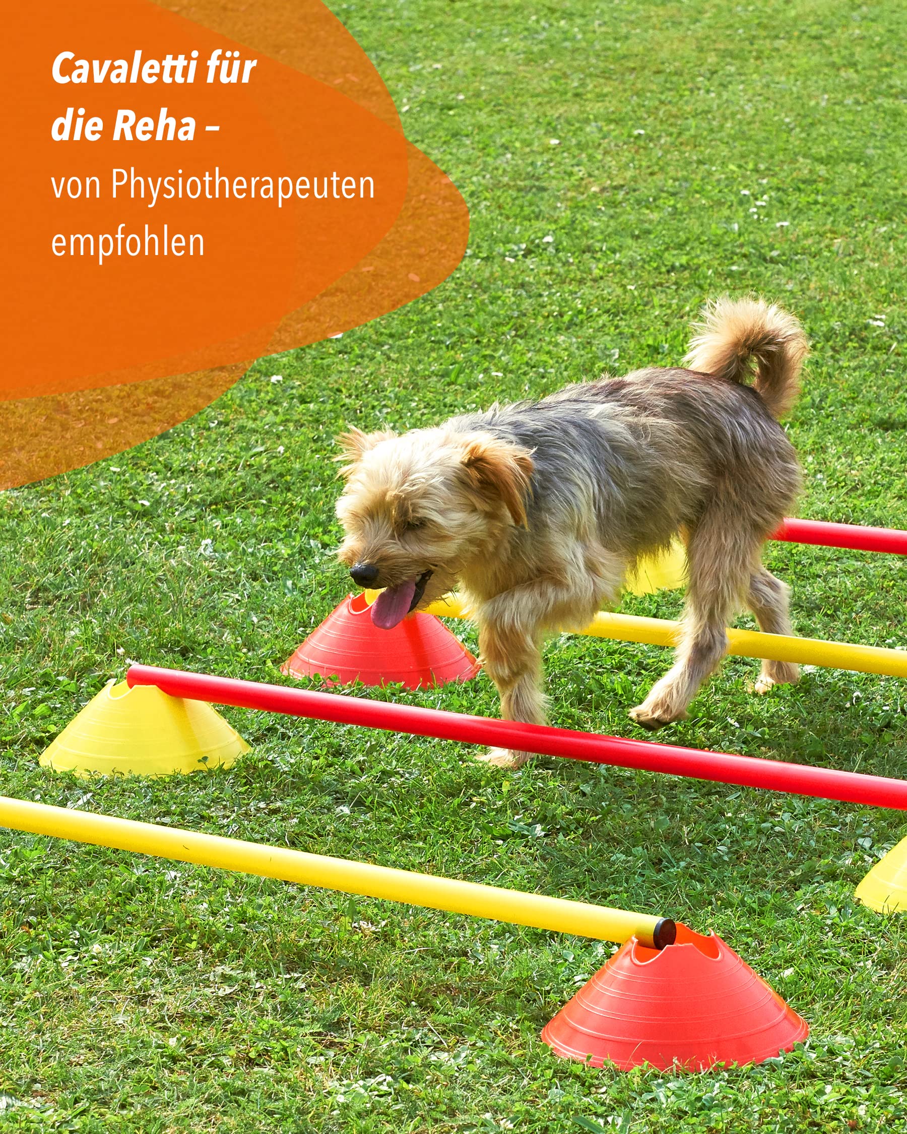 Mini-Hürden 10er Set & Stangen 100 cm – Cavaletti für Agility- & Koordinationstraining – Hürden & Slalom für Hunde, Teamsport, Kinder & Pferde