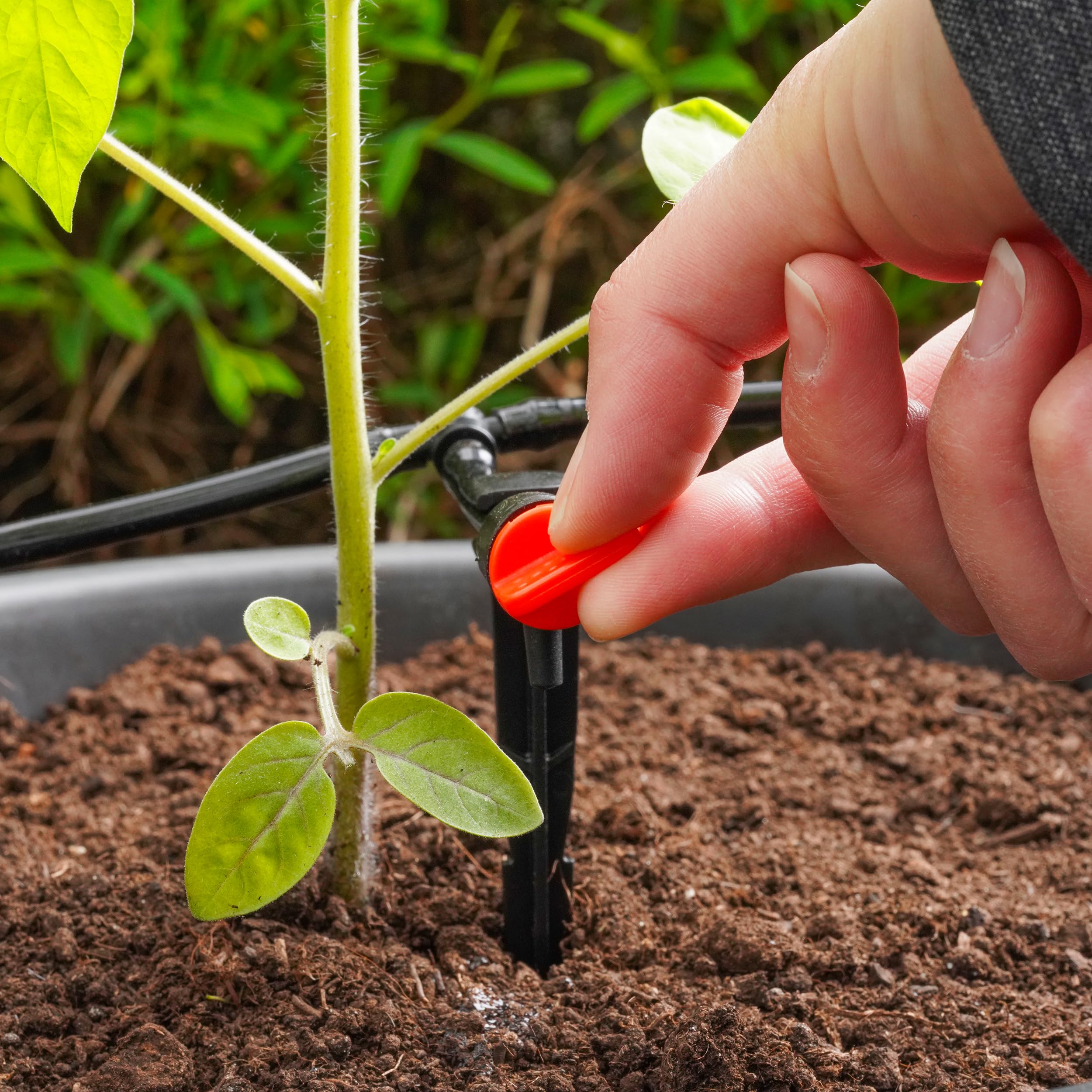 Esotec kompaktes Solar Bewässerungssystem Waterdrops 20 – Automatischer Bewässerungscomputer, 20 Wassertropfer, Timer, energieeffiziente Tropfbewässerung für Garten Balkon Beete & Pflanzgefäße 101129