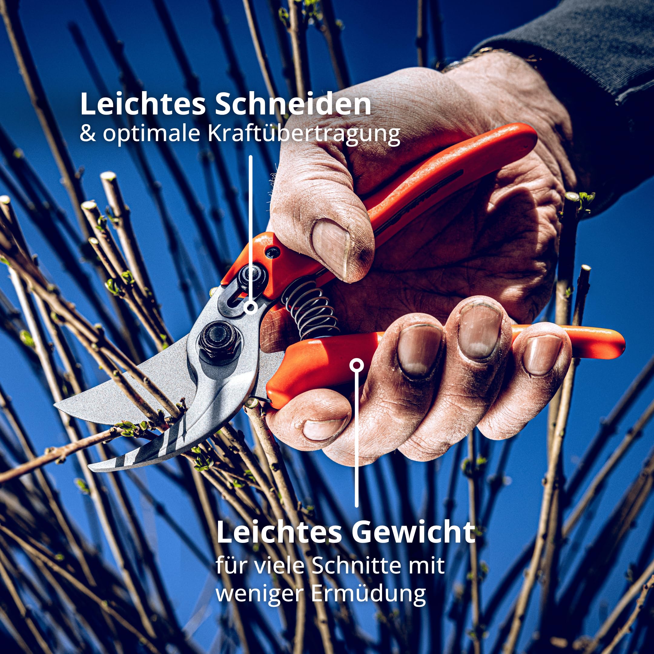 Original LÖWE 14 Gartenschere Rosenschere 14.107 mit scharfen Stahlklingen aus Carbon - leichte Bypass-Schere mit Antihaftbeschichtung zum Schneiden für Rosenbüsche Rosenzweige Äste Schnittblumen