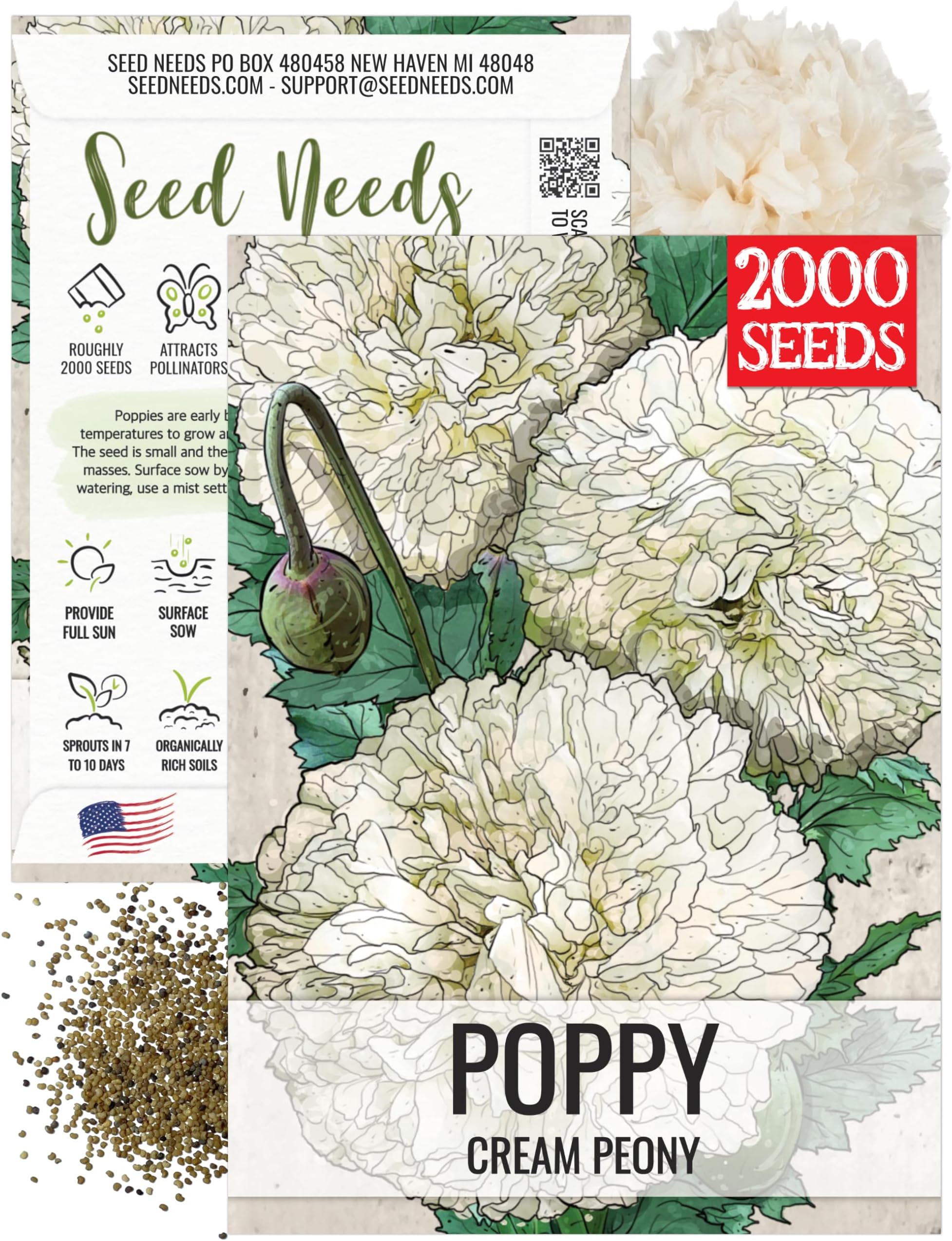 Seed Needs Poppy Seeds for Planting Creamy White Peony Poppies - Heirloom & Open Pollinated Soft White Flowers to Attract Butterflies & Pollinators to a Butterfly Garden (1 Pack)