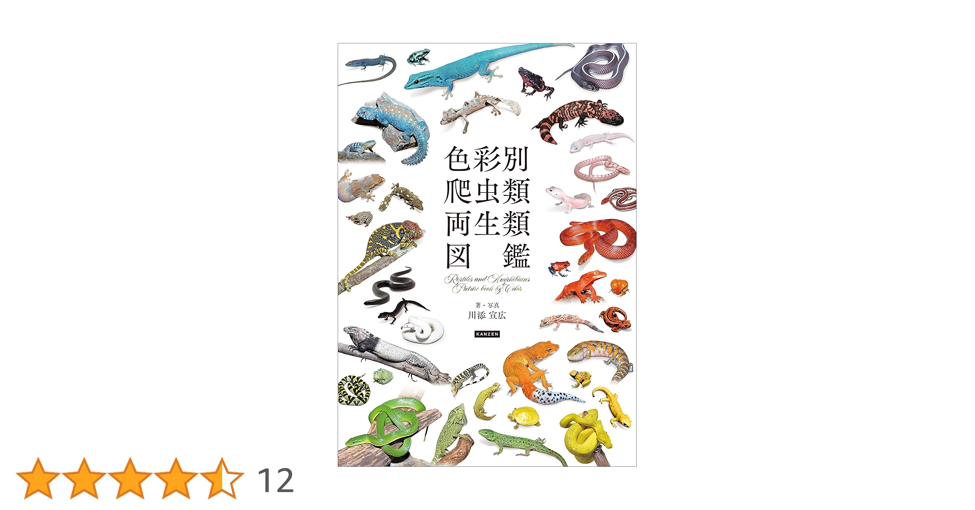 スケイル　Scale 爬虫類両生類情報誌 スケイル Scale 爬虫類両生類情報誌 爬虫類両生類情報誌