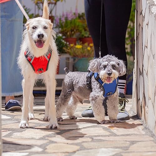 Miniatura 6 de Arnés para perro sin tirones, arnés reflectante para perro con asa de fácil control y clips delanteros y traseros, ajustable, transpirable, suave,