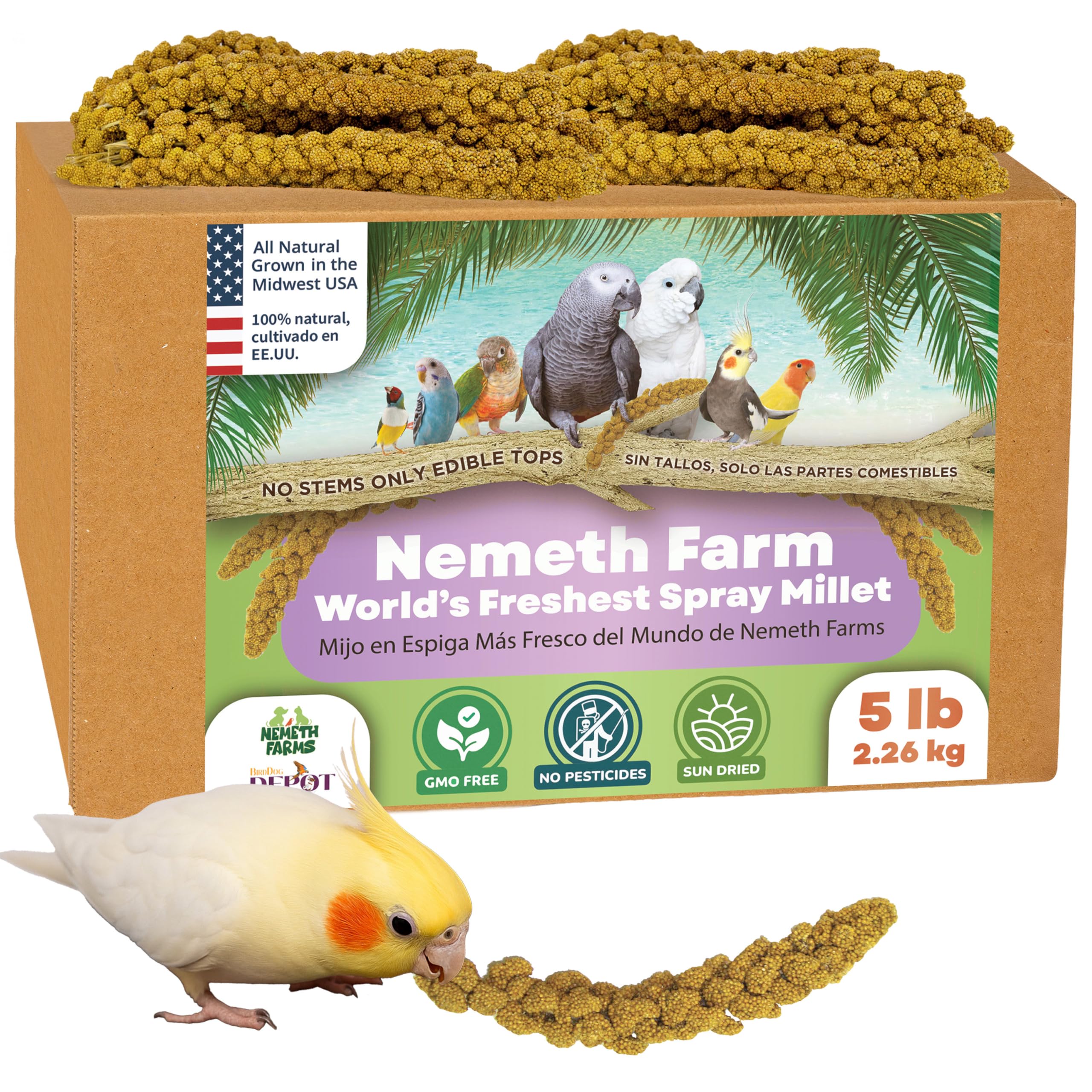 Nemeth Farms Worlds Freshest GMO-Free No Pesticide Sun Dried Spray Millet - No Stems Only Edible Tops-Original Bird Treat and Supplement for Pet Birds Parakeets, Cockatiels, Lovebirds and Finches-5lbs