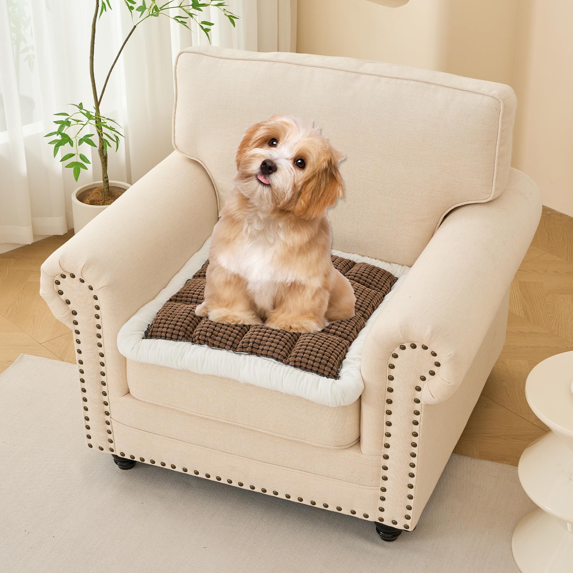 Haohighyoo Couch Cover for Dogs Protector, Washable Funny Plush Pet Sofa Cover, Non-Slip Pet Friendly Single Sofa Cover (Pure Dark Brown, 23.6x23.6 Inch)