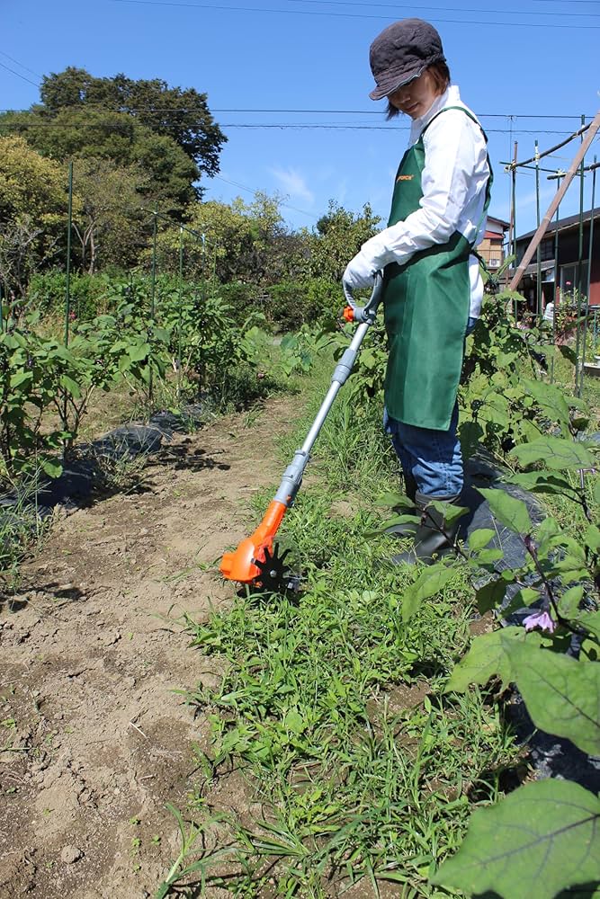 キャサバ挿木用苗700本入り MAKOTO GARDEN取り置き4月上旬 maxresdefault.jpg