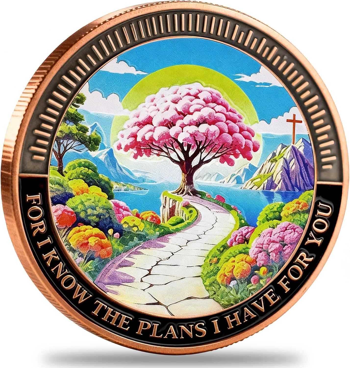 Healing & Daily Reminder -“for I Know the Plans” Bible Verse Engraved Challenge Coin -Inspirational Token for Graduation, Military, Faith, Christian Gift of Hope (Pack of 1)