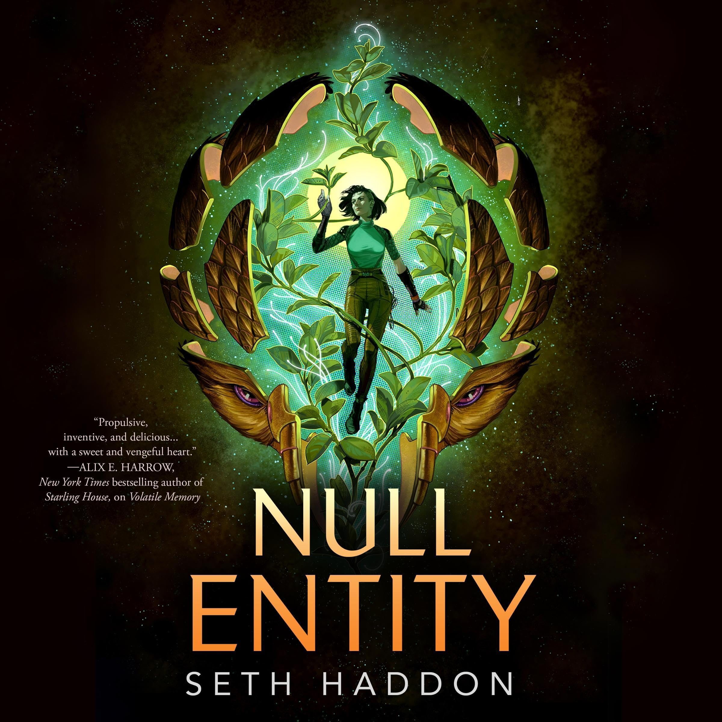 Cover art for Null Entity