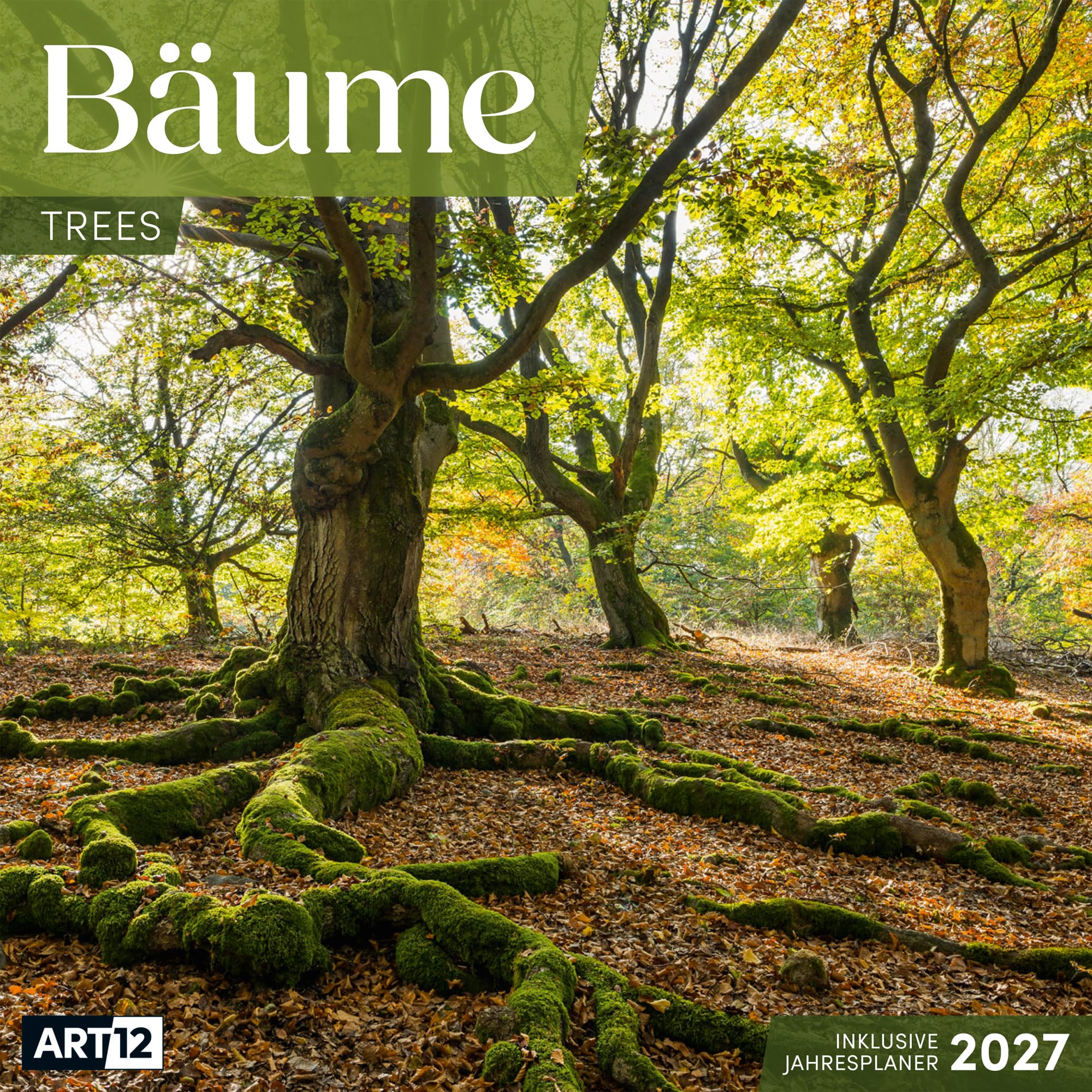 Bäume Kalender 2027 - 30x30 - Art12: Stilvoller Natur-Kalender im schlanken Hochformat (aufgeklappt 30x60 cm) | mit Eintrage-Kalendarium
