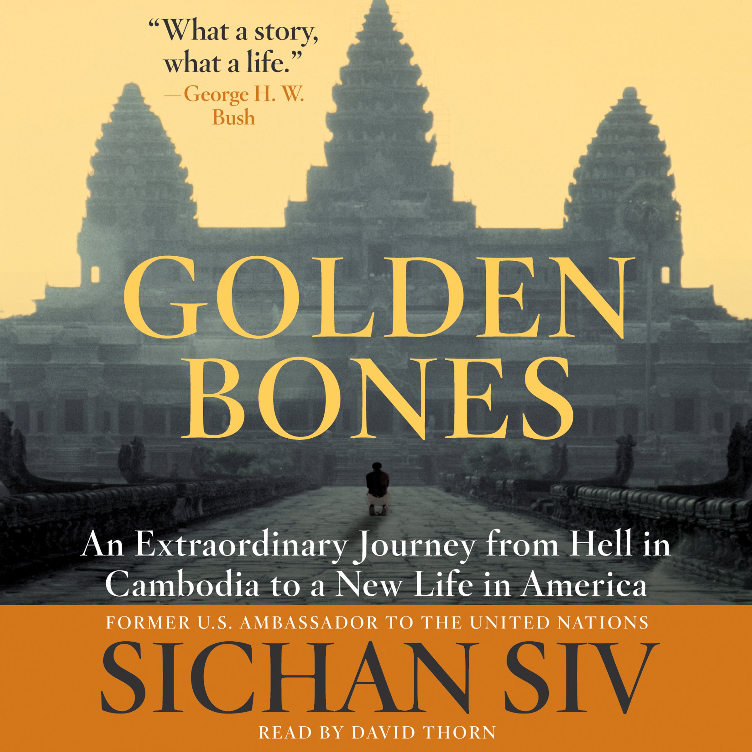 Cover art for Golden Bones