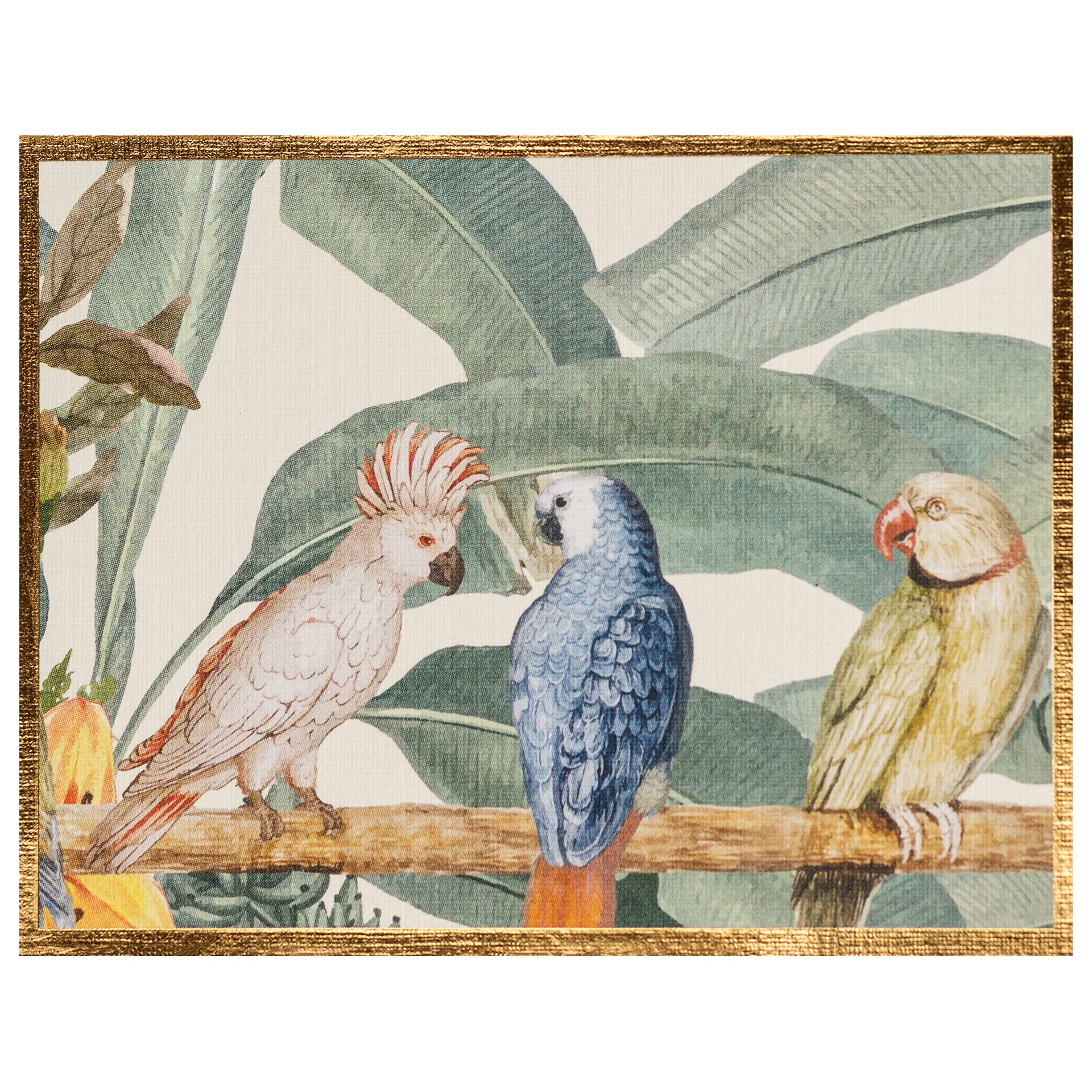 NEHA SINGH BHATIA Premium Folded Blank Gift Cards with Envelopes for Birthdays & Gifting | 250 GSM Card & 100 GSM Envelope | Multicolour Design | 9.2 x 11.8 cm | Pack of 10