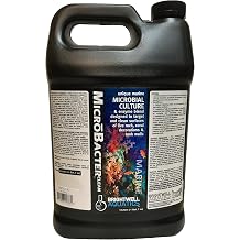 Brightwell Aquatics MicroBacter Clean Marine Aquarium Cleaner Aid, 4L