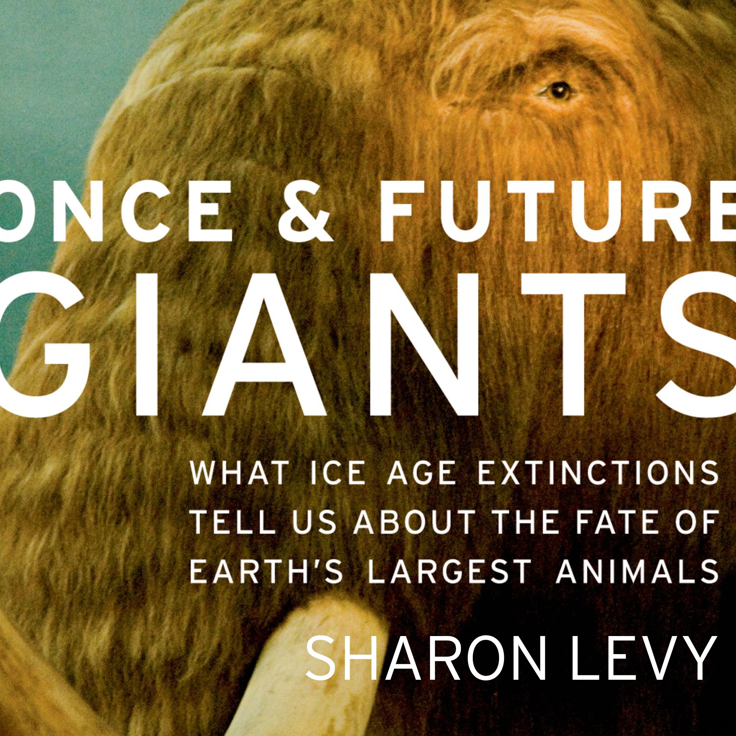Cover art for Once and Future Giants