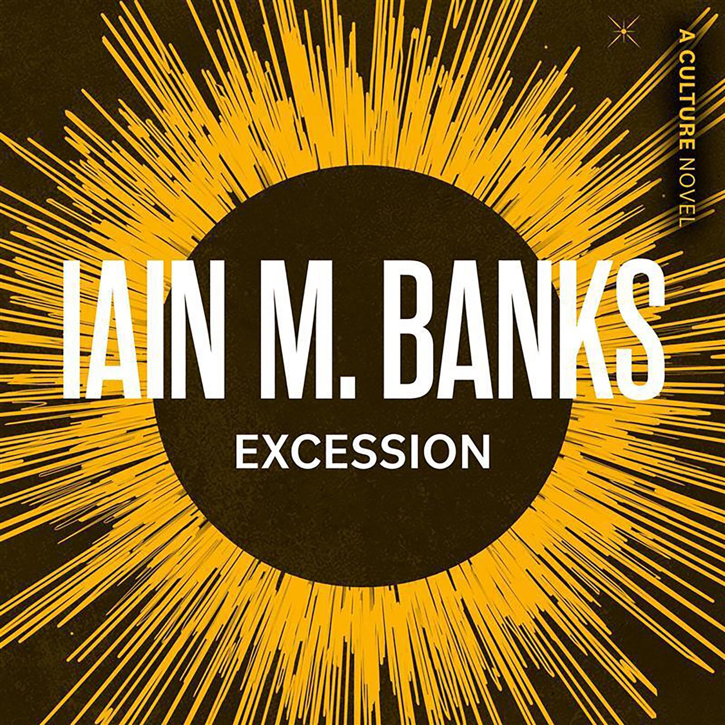 Cover art for Excession