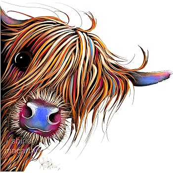 Shirley Macarthur Highland Cows Print Box Canvas Wall Art Cow Print Cow Canvas Scottish Gifts From Painting Large 20 X 20 Inch Highland Cows Nessie Delivery Within 2 3 Days Uk
