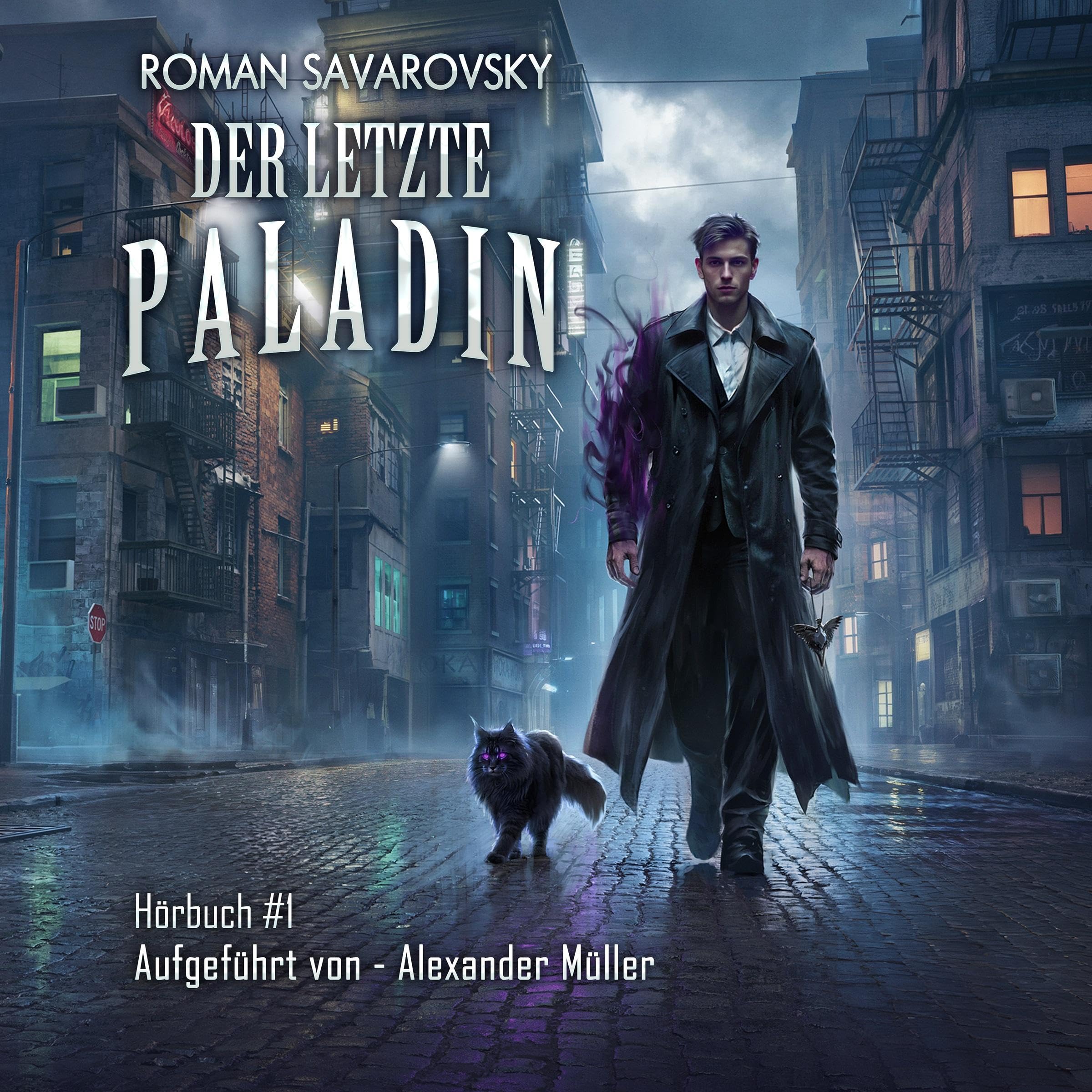 Cover art for Der letzte Paladin (Buch 1)