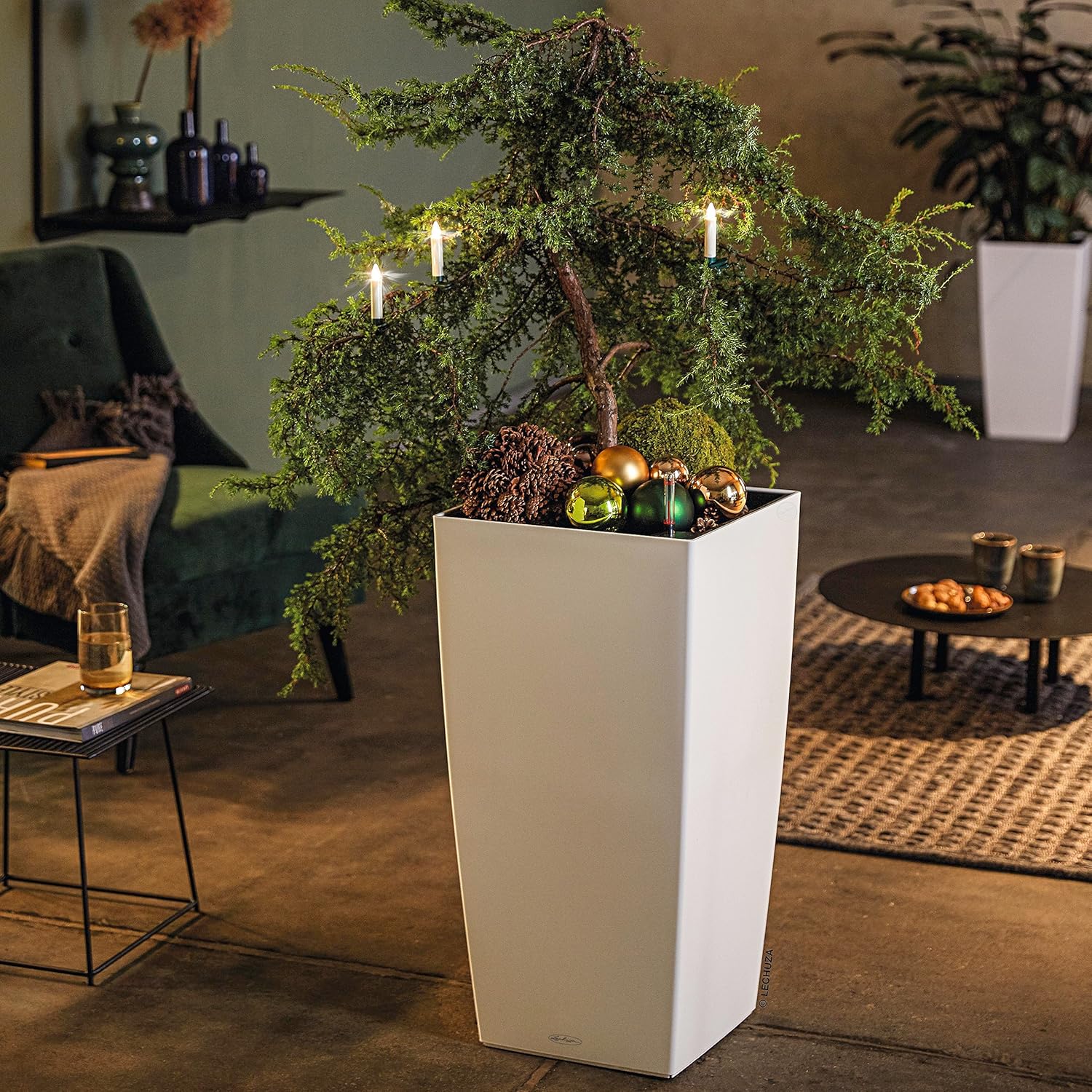 Lechuza Cubico Color 40 planter used indoors with a tall plant.