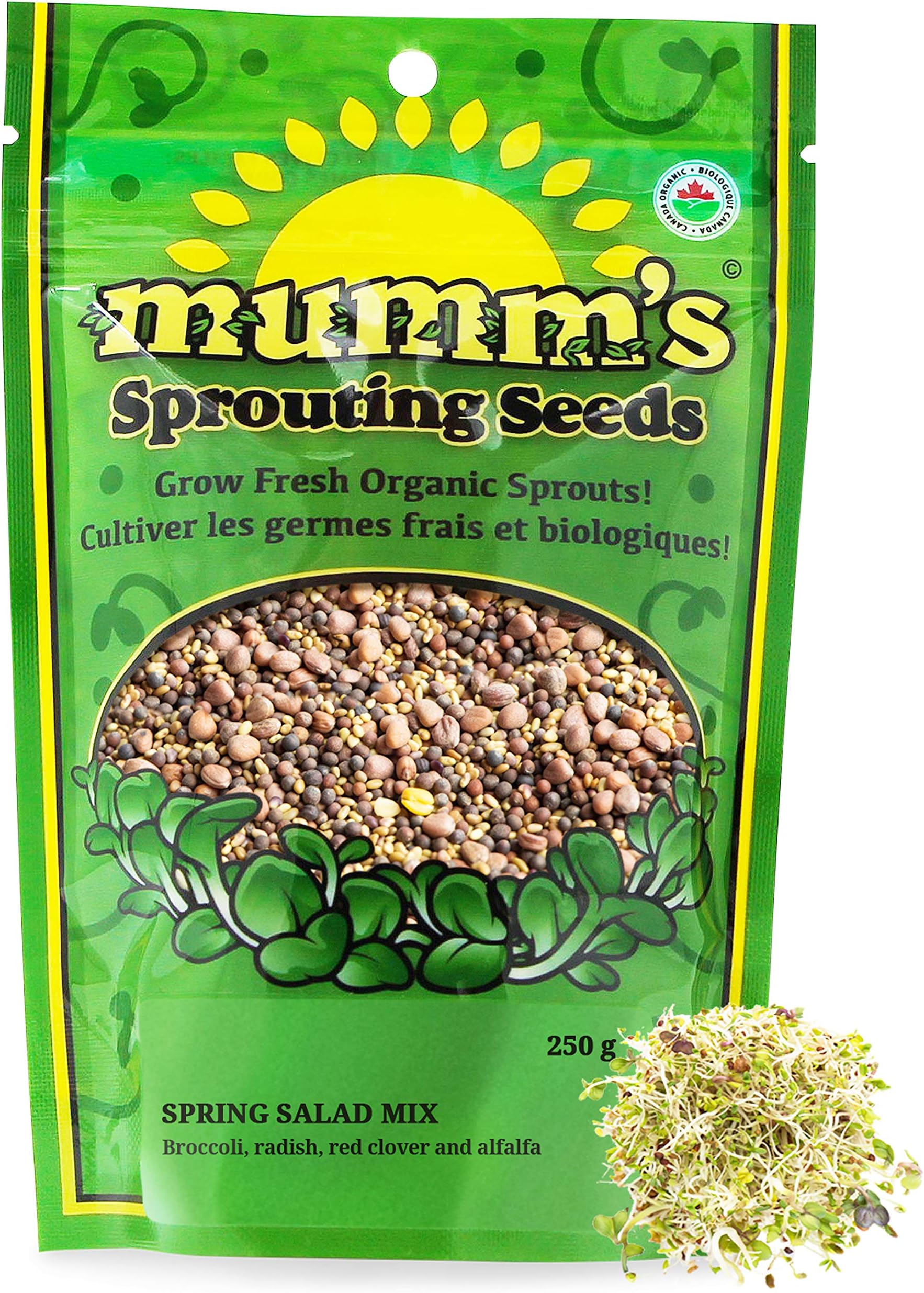 Mumm's Sprouting Seeds - Spring Salad Mix - 250 GR - Organic Sprout Seed Kit - Broccoli, Radish, Alfalfa and Red Clover