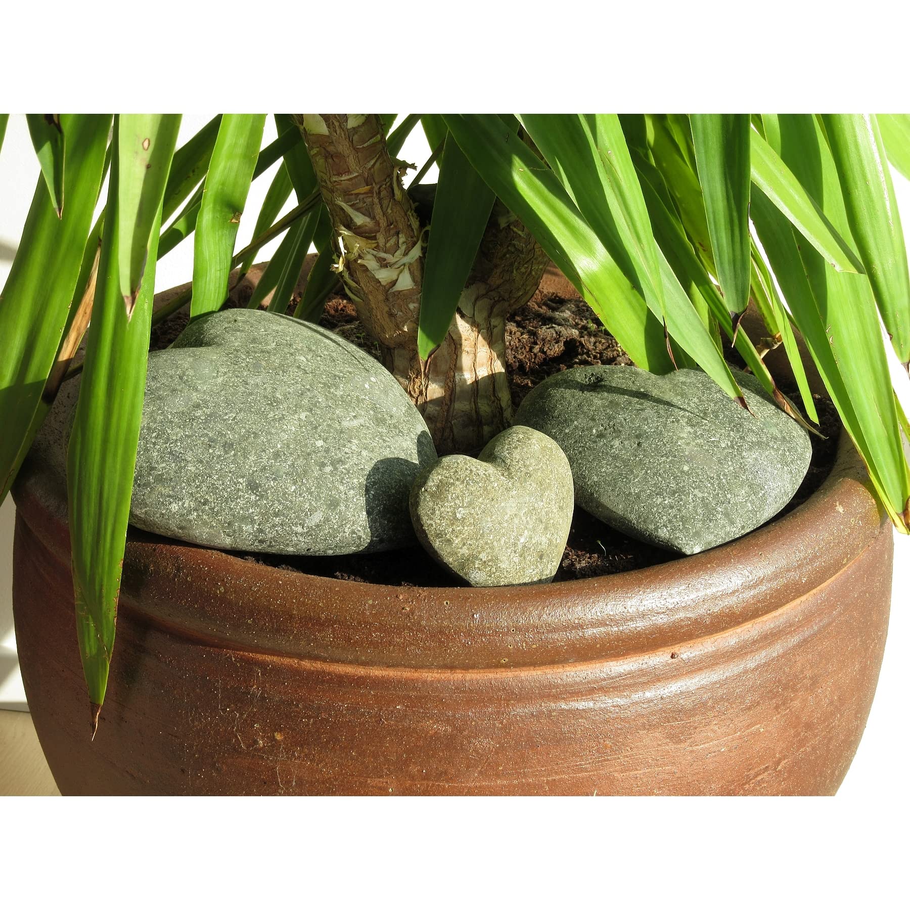 STONE art & more Esclusiva pietra naturale a forma di cuore, Ø 15 cm, decorazione da giardino, lavorazione in pietra, pezzo unico resistente al gelo