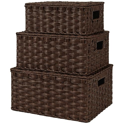 GRANNY SAYS Wicker Baskets with Lids, Set of 3 Decorative