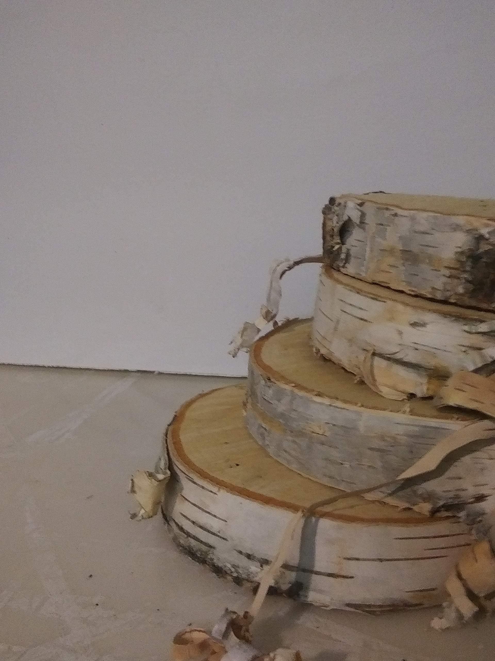 Natural Wood Slices, Round Birch Slabs, 7 to 9 inches, Rustic Tree Bark Slice, Weathered Log Disc, Outdoor Country Barn Wedding Table Centerpiece, (4 Pack)