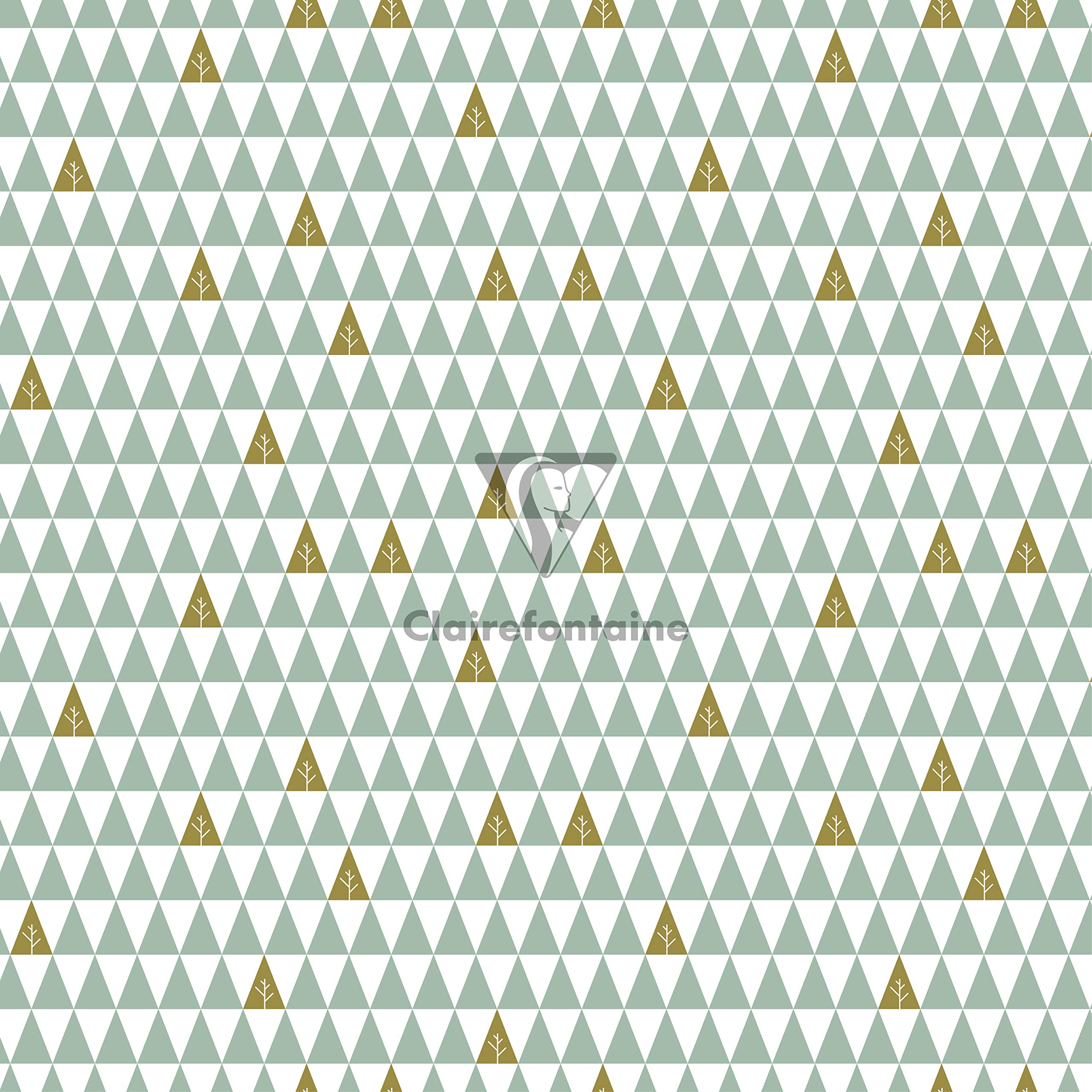 Clairefontaine 201965AMZC - Karton mit 10 Rollen Geschenkpapier Excellia 5mx0m70 80g, sortierte Motiven Cocooning