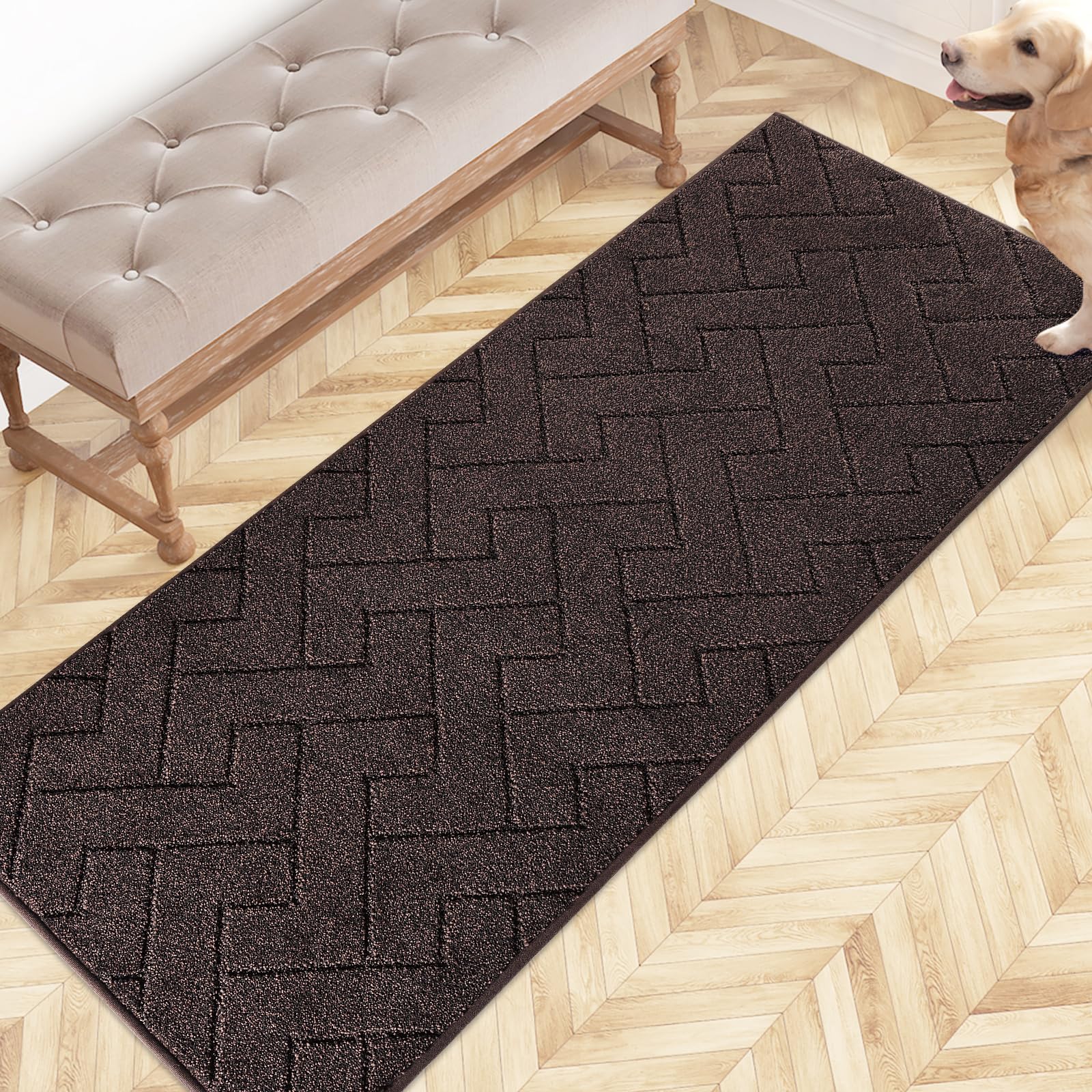 FCSDETAIL Schmutzfangmatte Innen, rutschfeste Fußmatte, waschbar Sauberlaufmatte, absorbierend Türmatte, Fussmatte Teppich für Hund, Eingang, Haustür & Flur