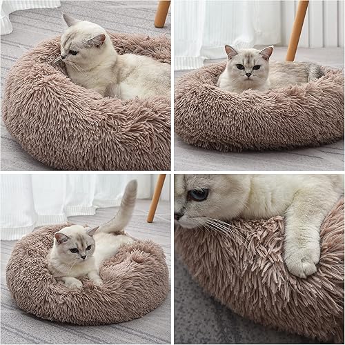 Miniatura 7 de Aalklia Cama para gatos y perros, cama mullida y suave para mascotas con parte inferior antideslizante y parte inferior impermeable, redonda dona