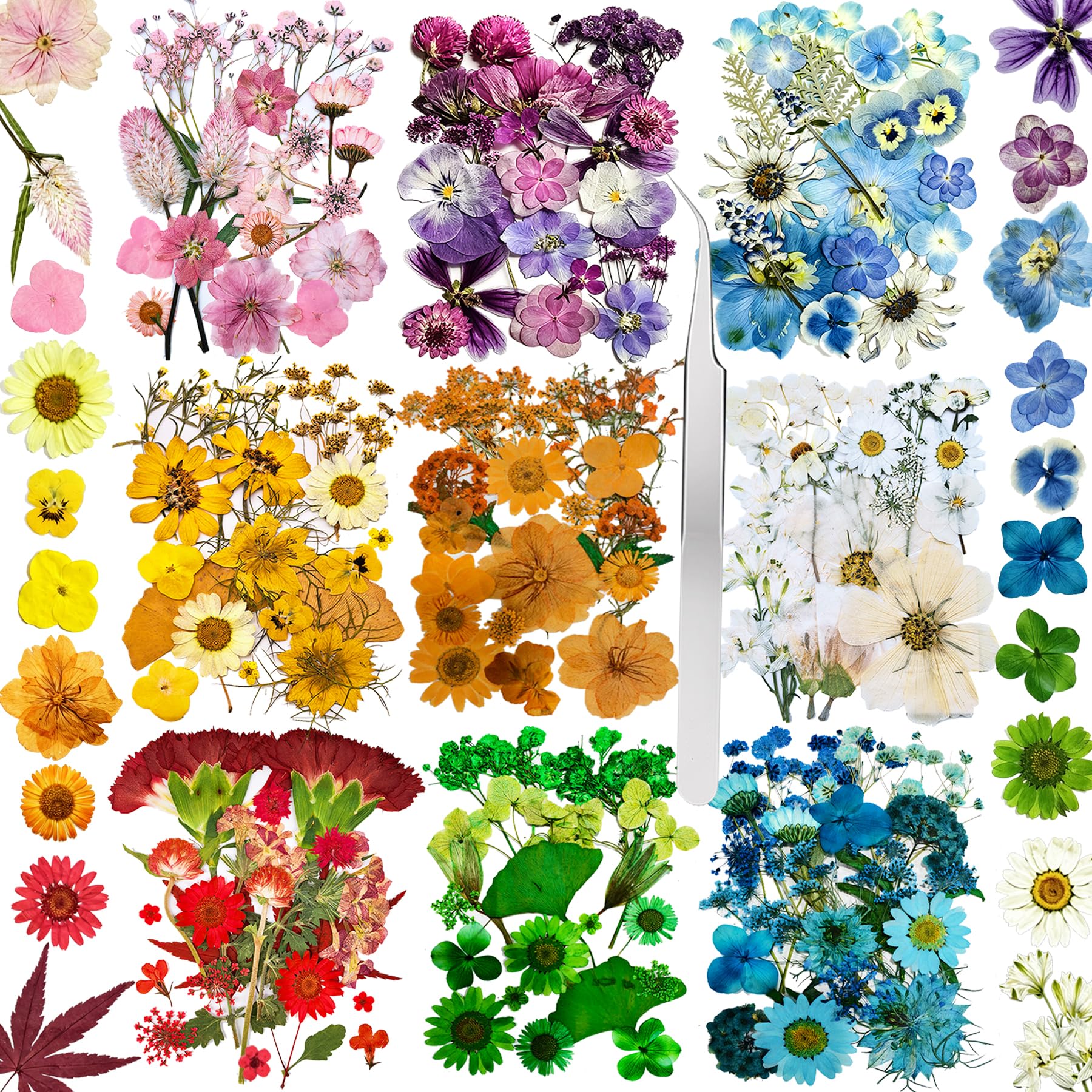 Huimai 263Pcs Dried Pressed Flowers Kit for Resin Crafts (263)
