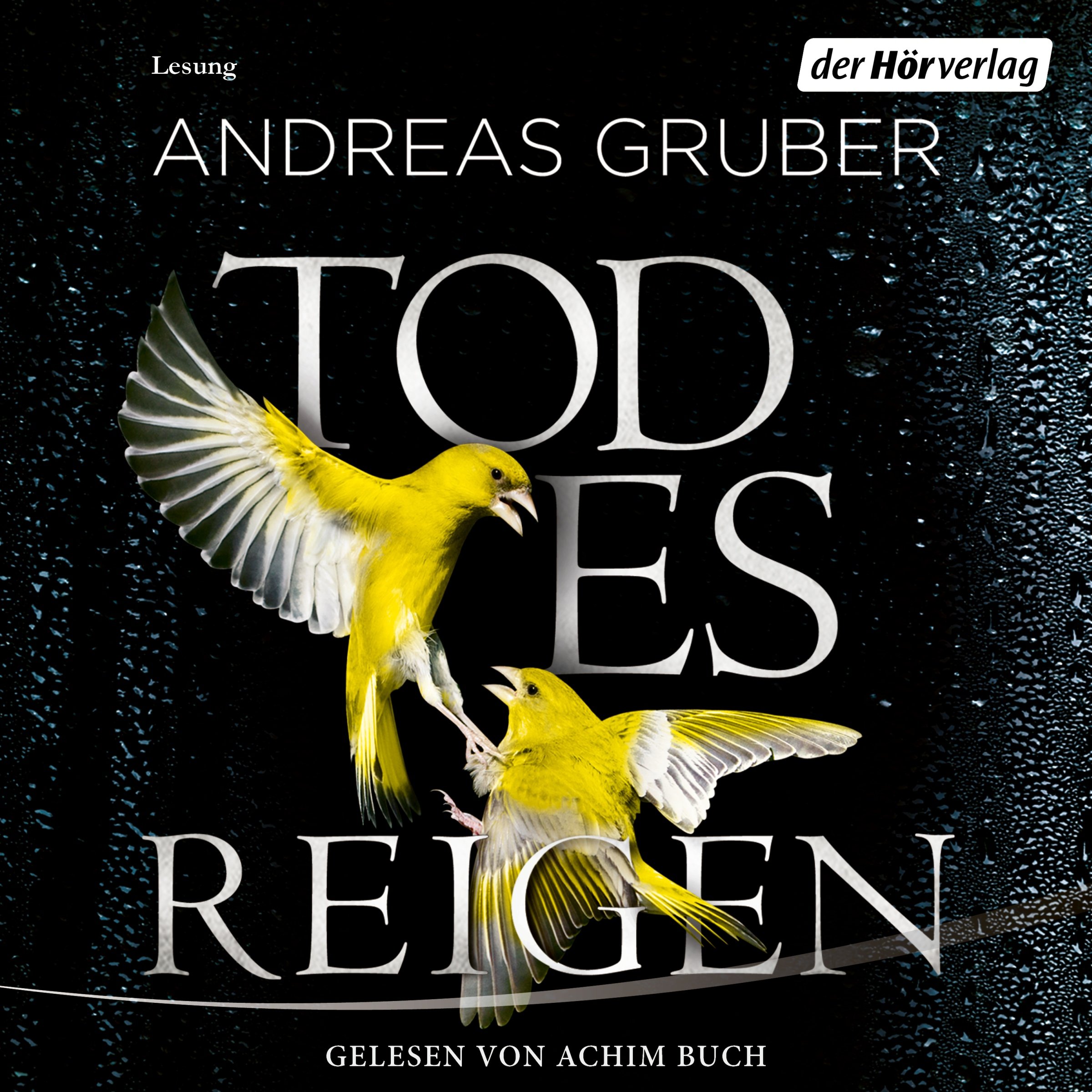 Cover art for Todesreigen