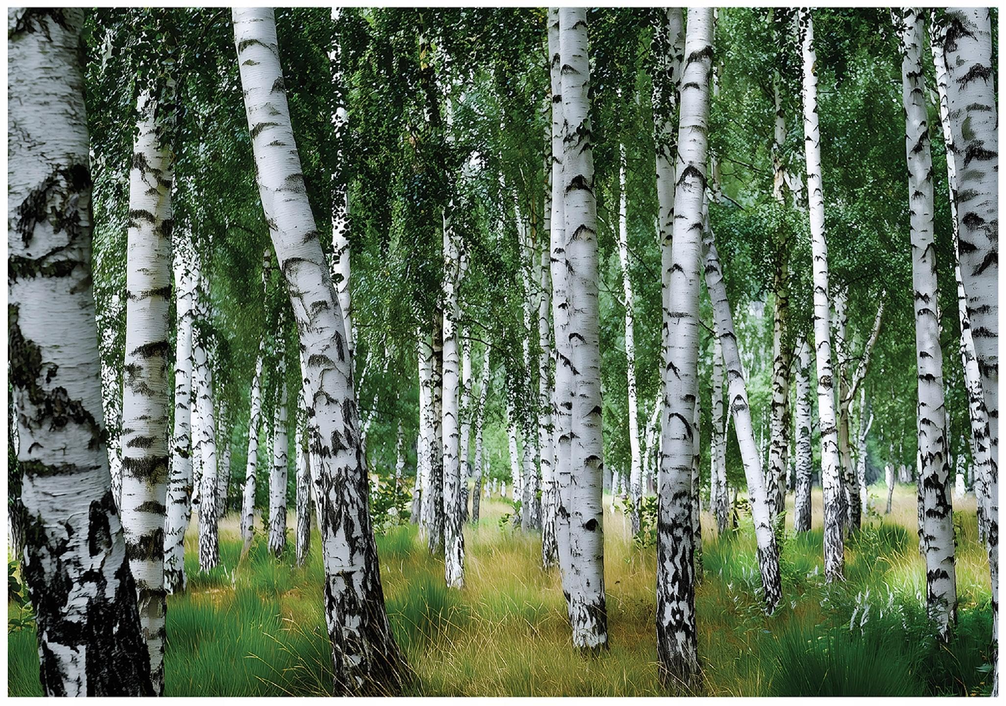 WallArena Wall Mural Photo Wallpaper for Living Room & Bedroom 200x140cm