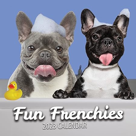 Amazon Fun Frenchies フレンチブルドッグ 壁掛けカレンダー 23 大型ファミリープランナー デイリーオーガナイザー マンスリーイメージ付き 犬好きへのギフト クリスマスストッキングフィラー スリムデザイン 23 ウォールプランナー アダルトカレンダー