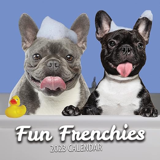 Fun Frenchies French Bulldog Wall Calendar 2023 Large Family Planner