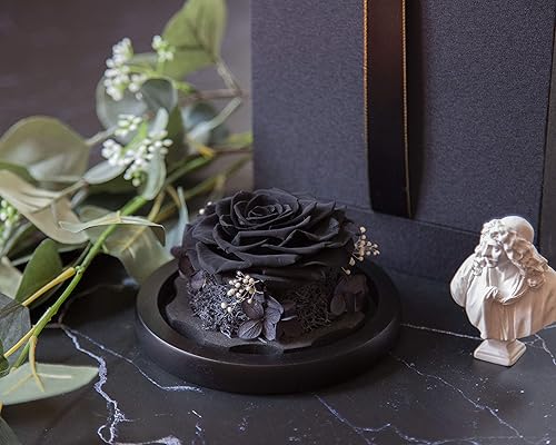 Vista 21 de DuHouse Forever White Roses - Caja de flores reales preservadas para San Valentín, cumpleaños, aniversario, día de la madre, Navidad (blanco)