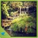 Green Garden Waterfall - Meditate in the Peaceful garden